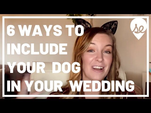 6 Tips on How to Include Your Dog in Your Wedding