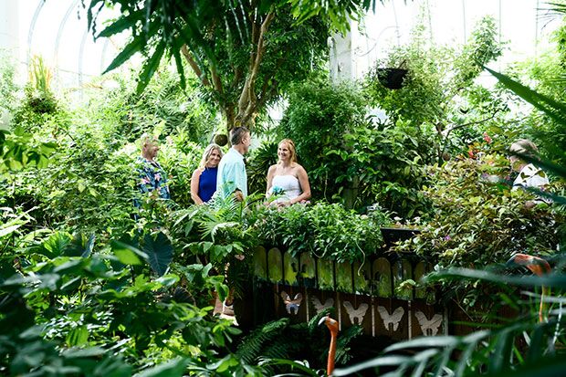 Key West Butterfly & Nature Conservancy, a Key West small wedding venue