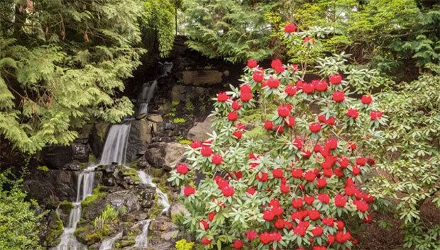 Crystal Springs Rhododendron Garden, a Oregon small wedding venue
